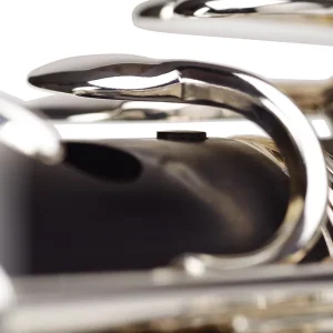 Clarinete Sib Buffet Crampon Prodige 17/6 BC2541-2-0GB