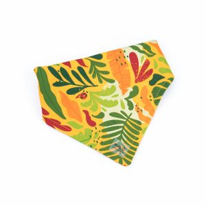Bandana Tami