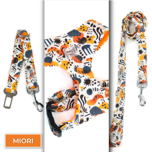 Conjunto Sicuro